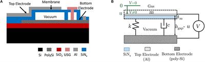 Proof of Concept and Preliminary Results of Gas Detection by Measuring the Admittance at the Resonance and Anti-resonance of an Uncoated CMUT